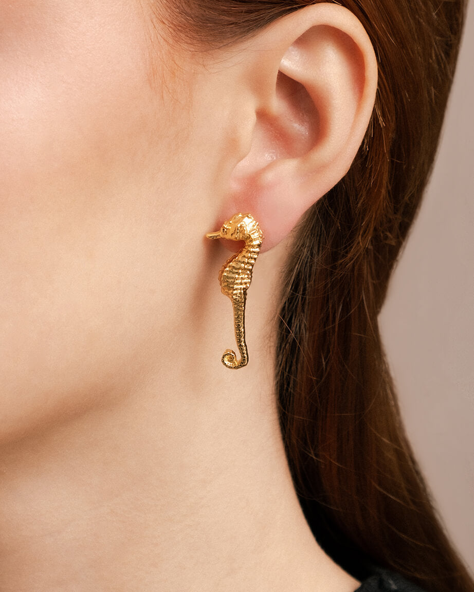 Seahorse Stud Earrings